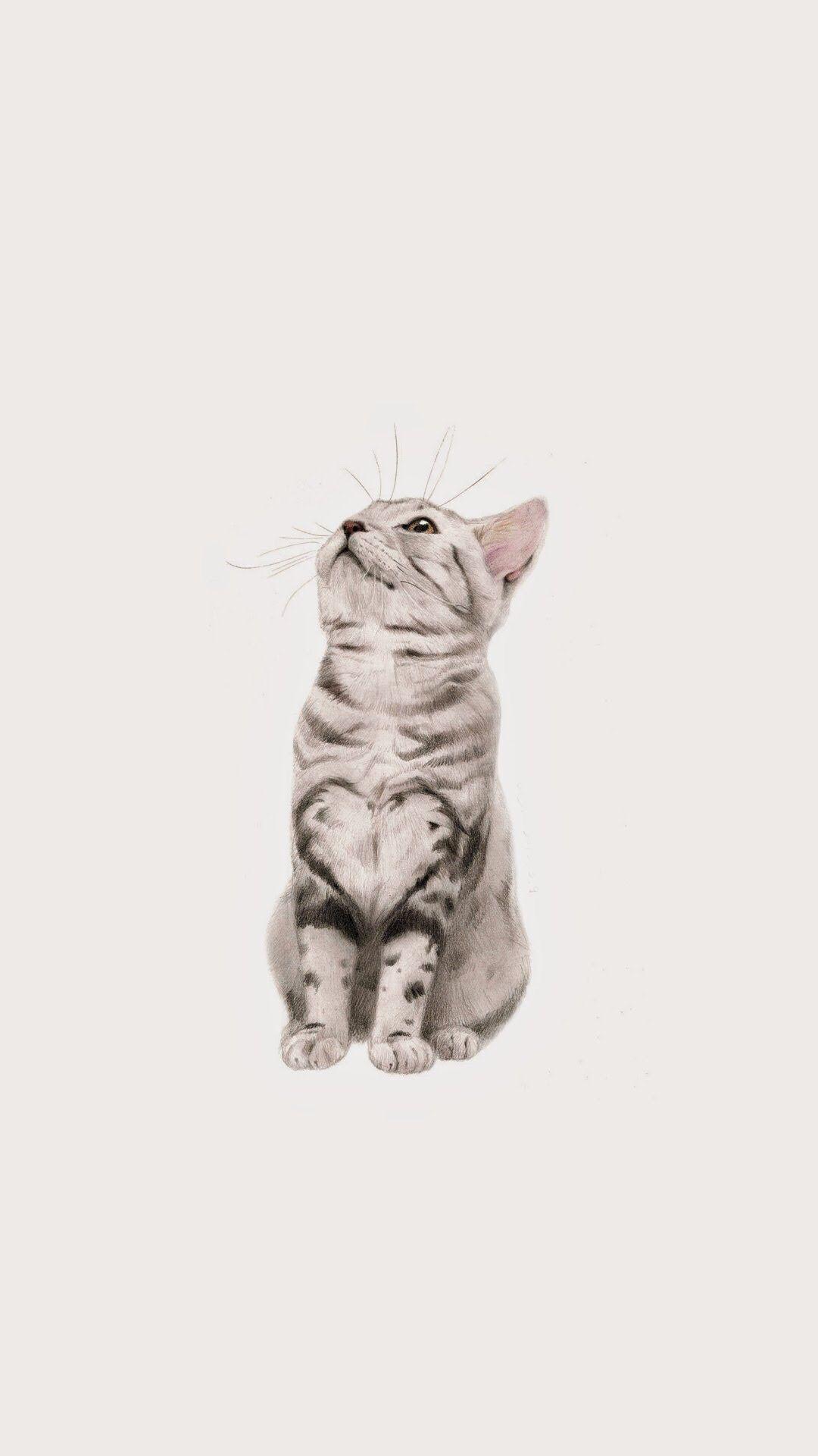 iPhone Wallpaper. wallpaper. Wallpaper, Cat and Animal