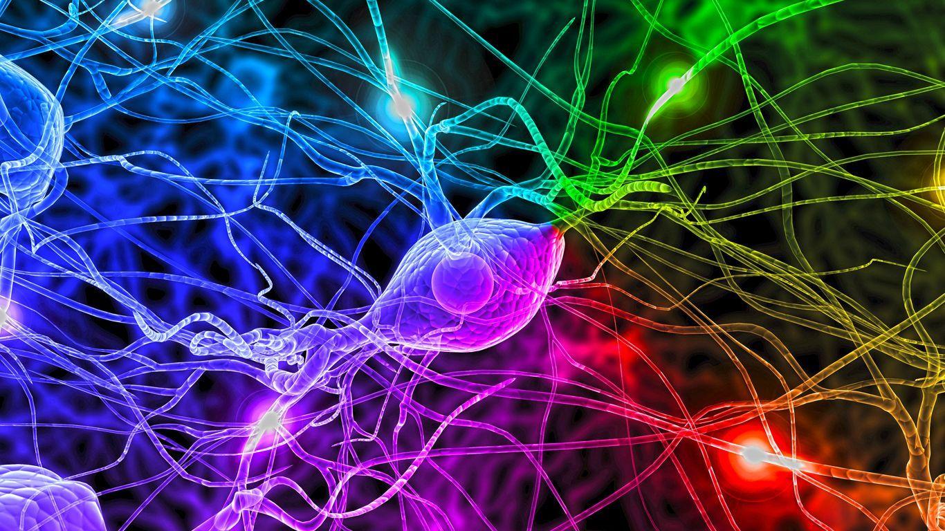 HD Neuroscience 4k Wallpaper