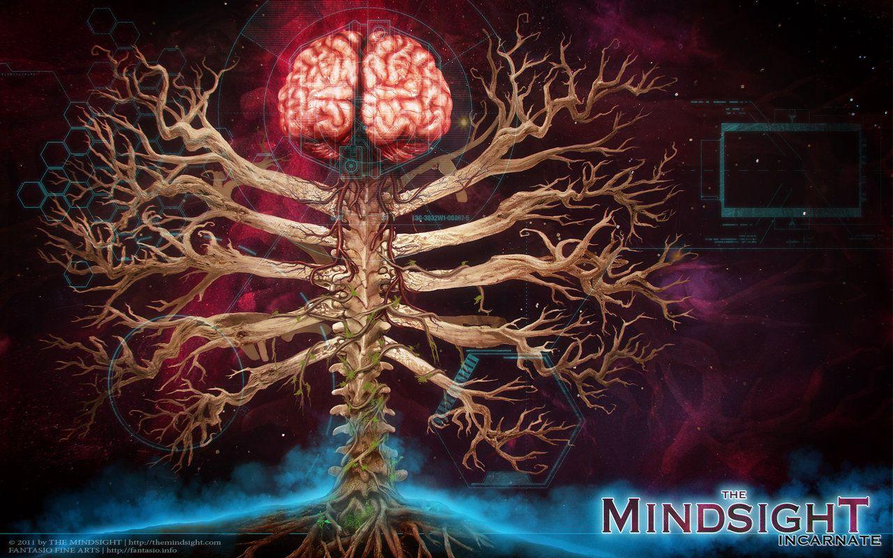 nervous system cool wallpaper mindsight wallpaper