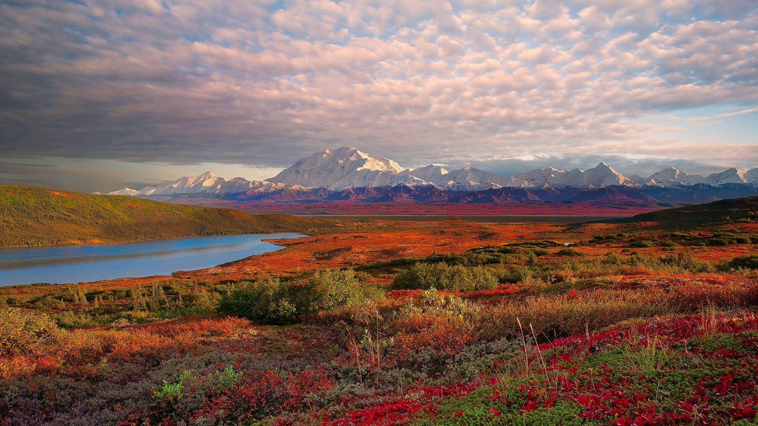 Landscape Denali National Park Alaska Desktop Wallpaper HD