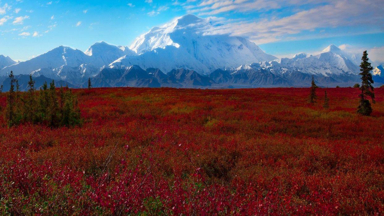 Denali National Park Alaska wallpaperx1080