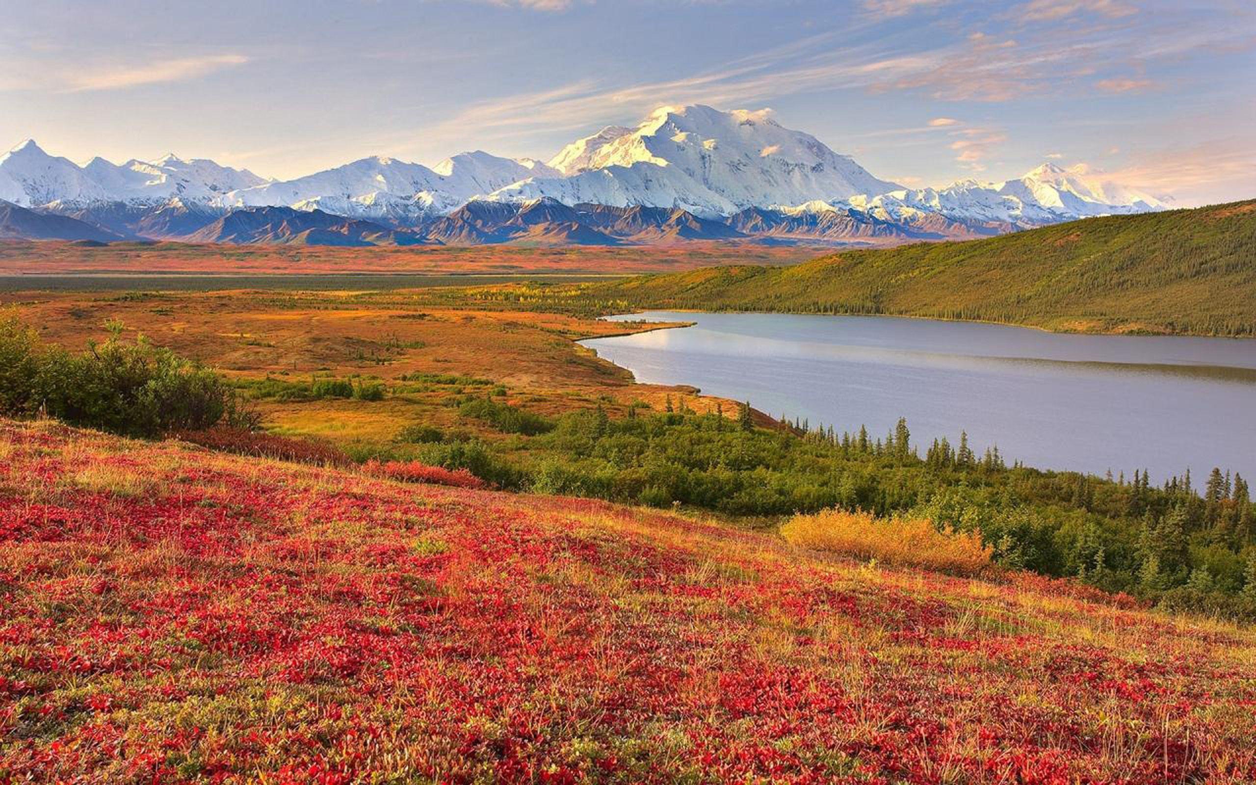 Desktop Wallpaper Natural Background Fall Tundra Denali