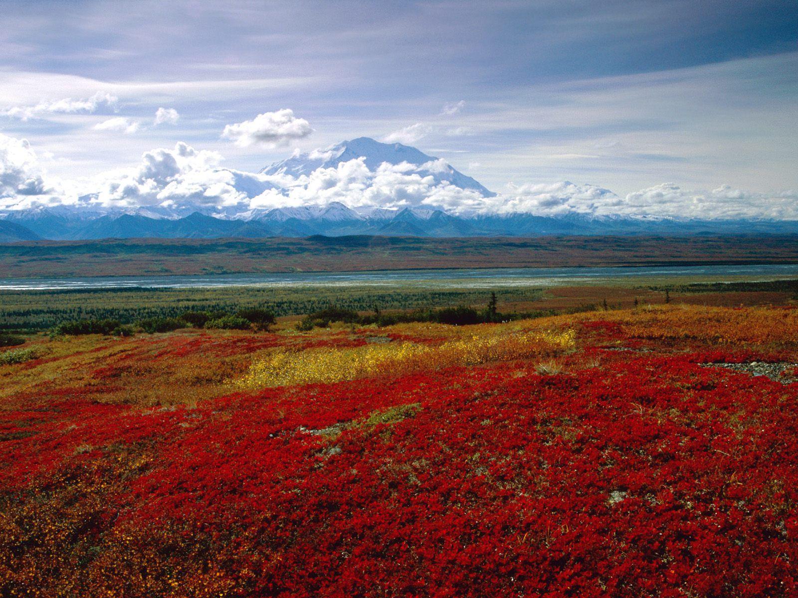 Denali Highest Mountain Peak in North America, Alaska Landscape Ultra HD Desktop  Background Wallpaper for : Multi Display, Dual & Triple Monitor