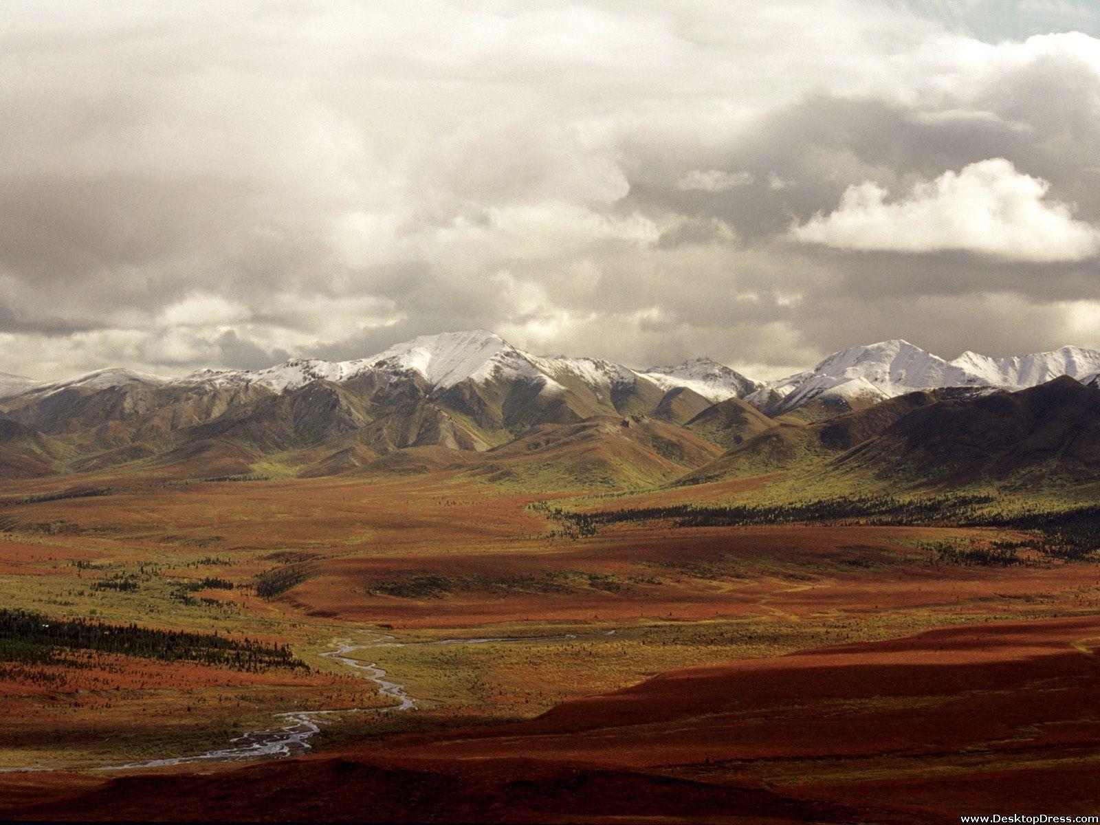 Desktop Wallpaper Natural Background Fall Tundra, Denali
