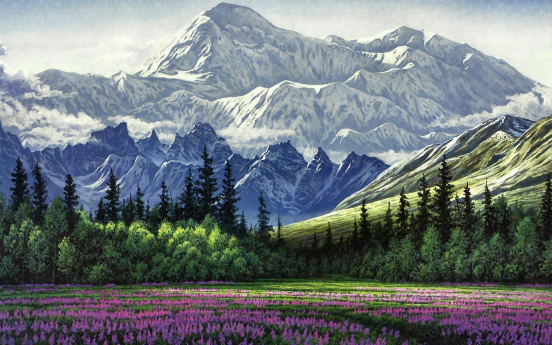 Denali Wallpapers - Wallpaper Cave