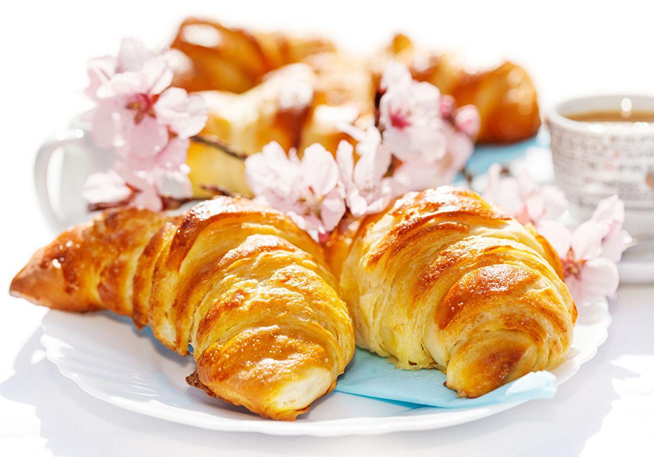 Wallpaper Croissant Food Pastry