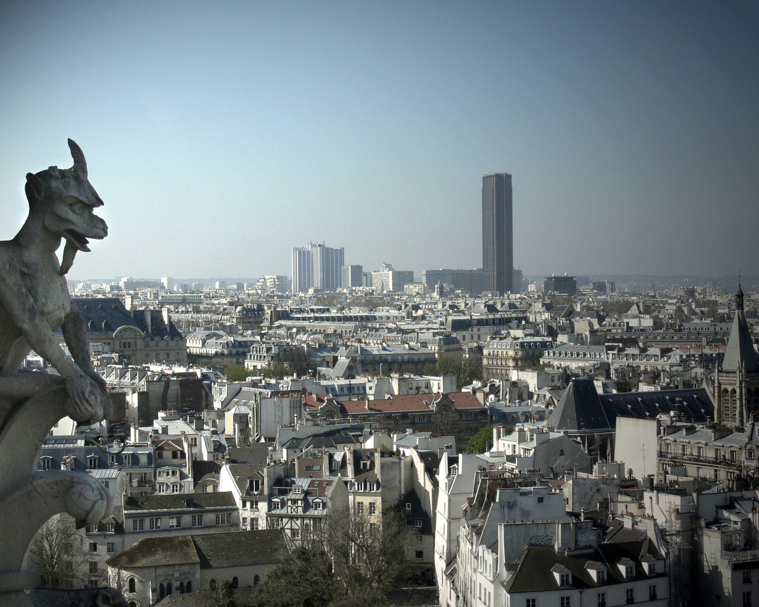 Views of Paris from a height wallpaper and image