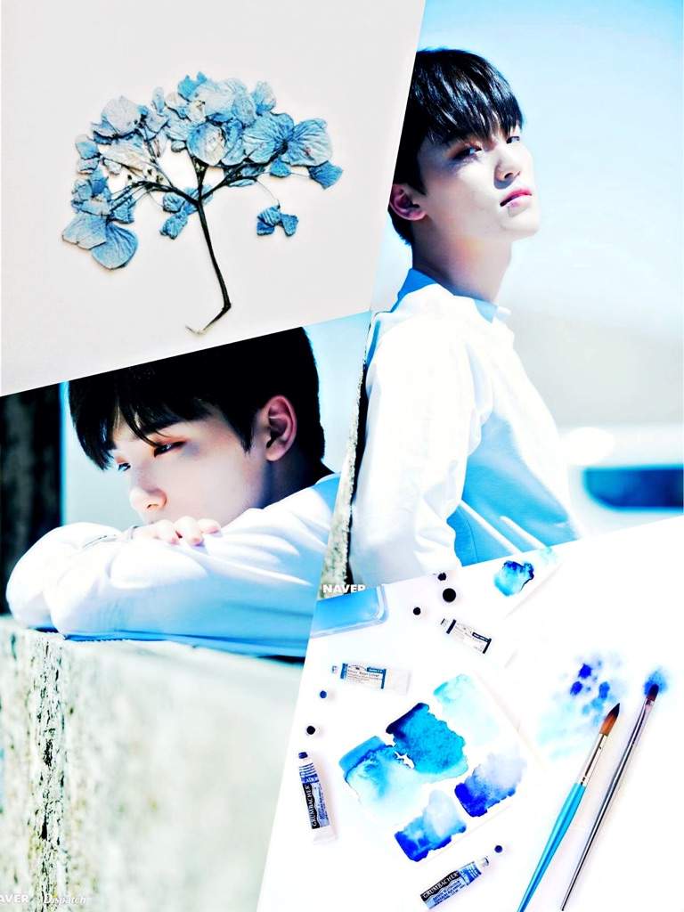 S Coups Wallpapers Wallpaper Cave