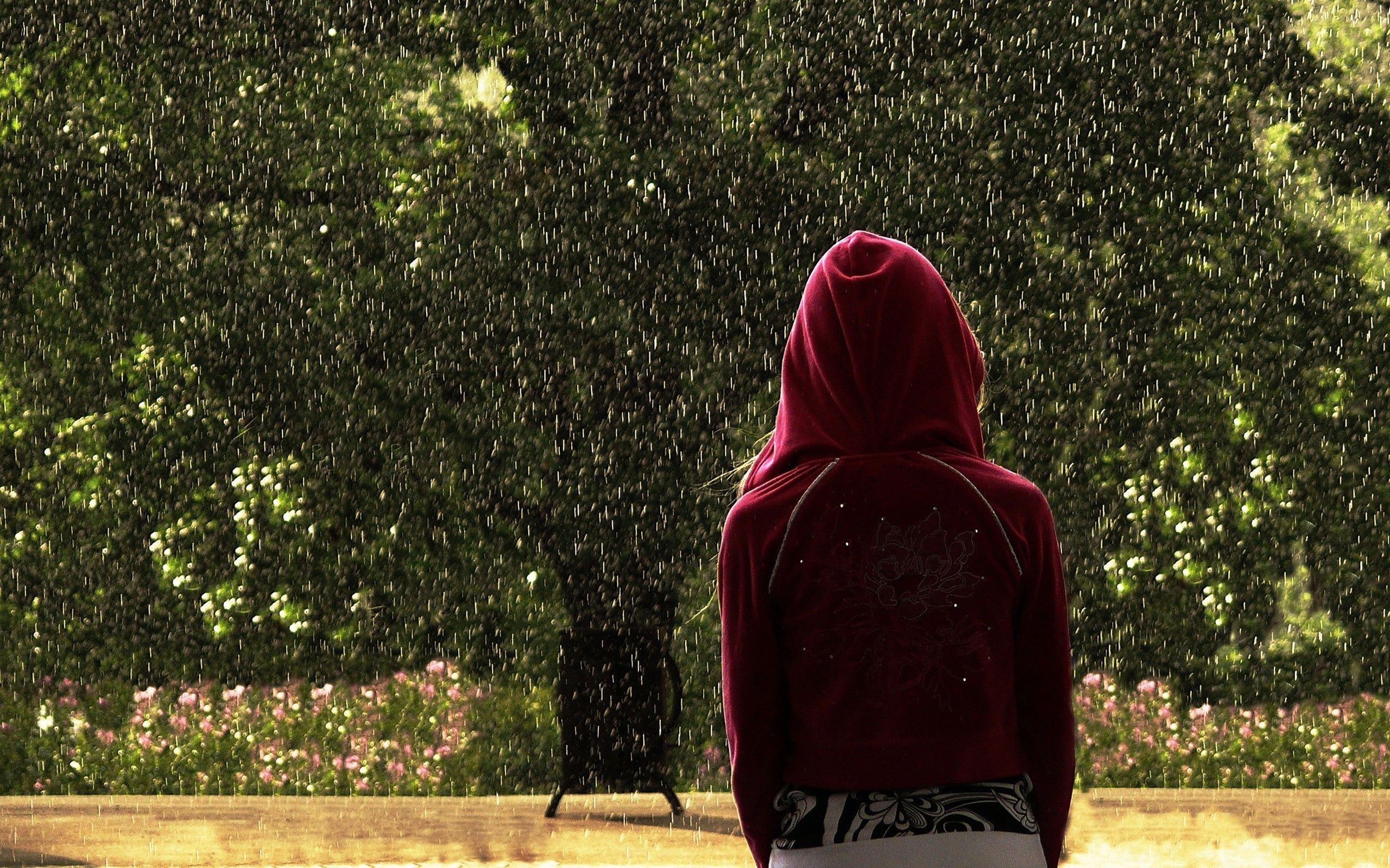 rain, outdoors, plants, hoodies wallpaper