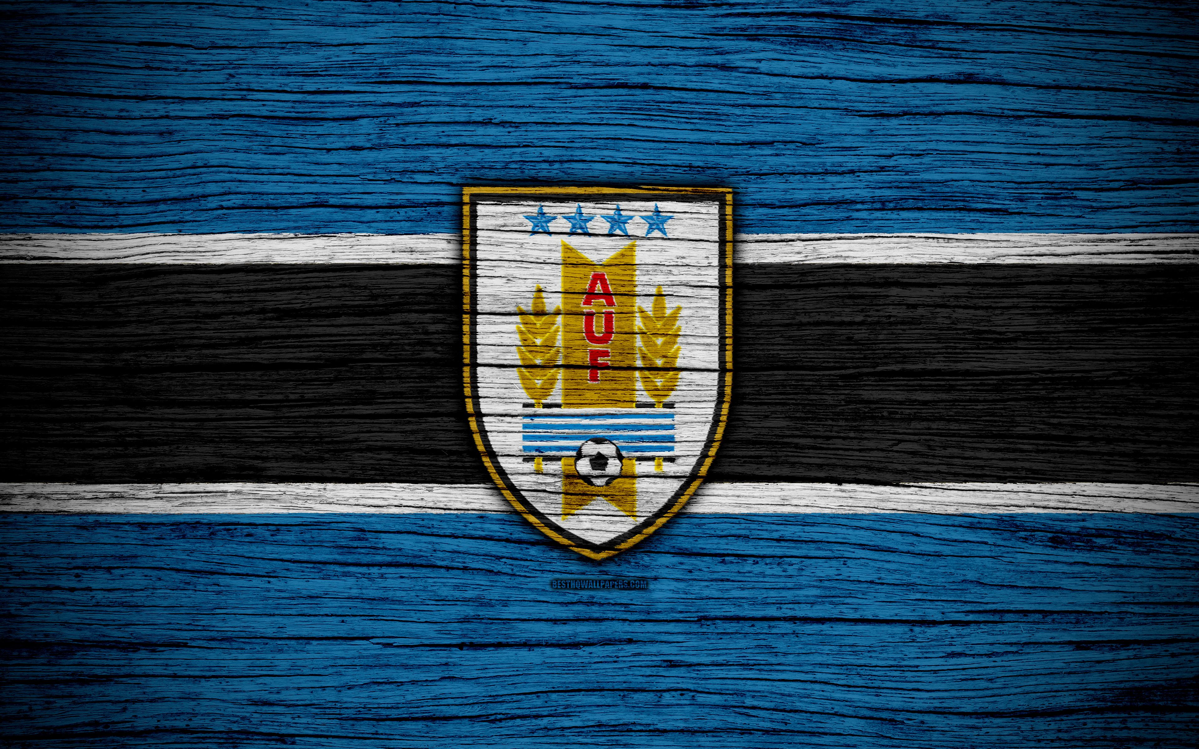 Download wallpaper 4k, Uruguay national football team, logo, North