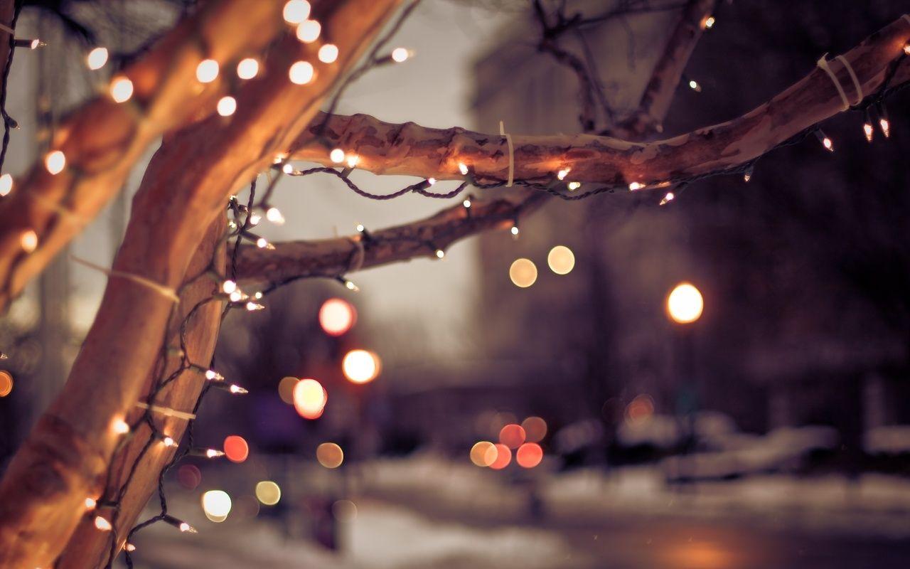 Light Bulbs, Mood, City, Christmas, Winter, Tree Wallpaper
