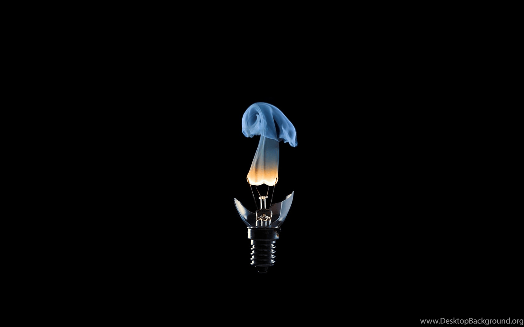 Black Background Digital Art Light Bulbs Wallpaper WallDevil