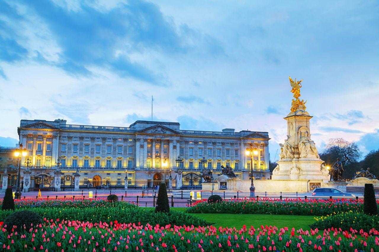 Wallpapers London Palace England Monuments Buckingham palace Tulips