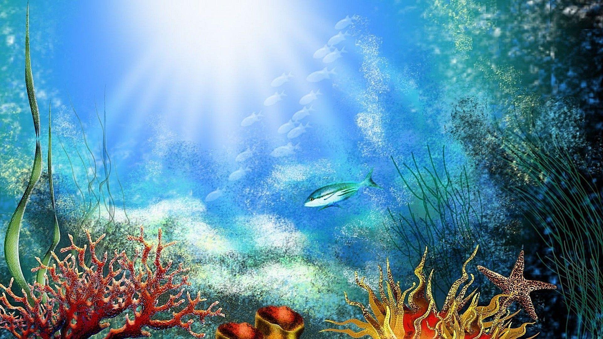 The seabed. Android wallpaper for free