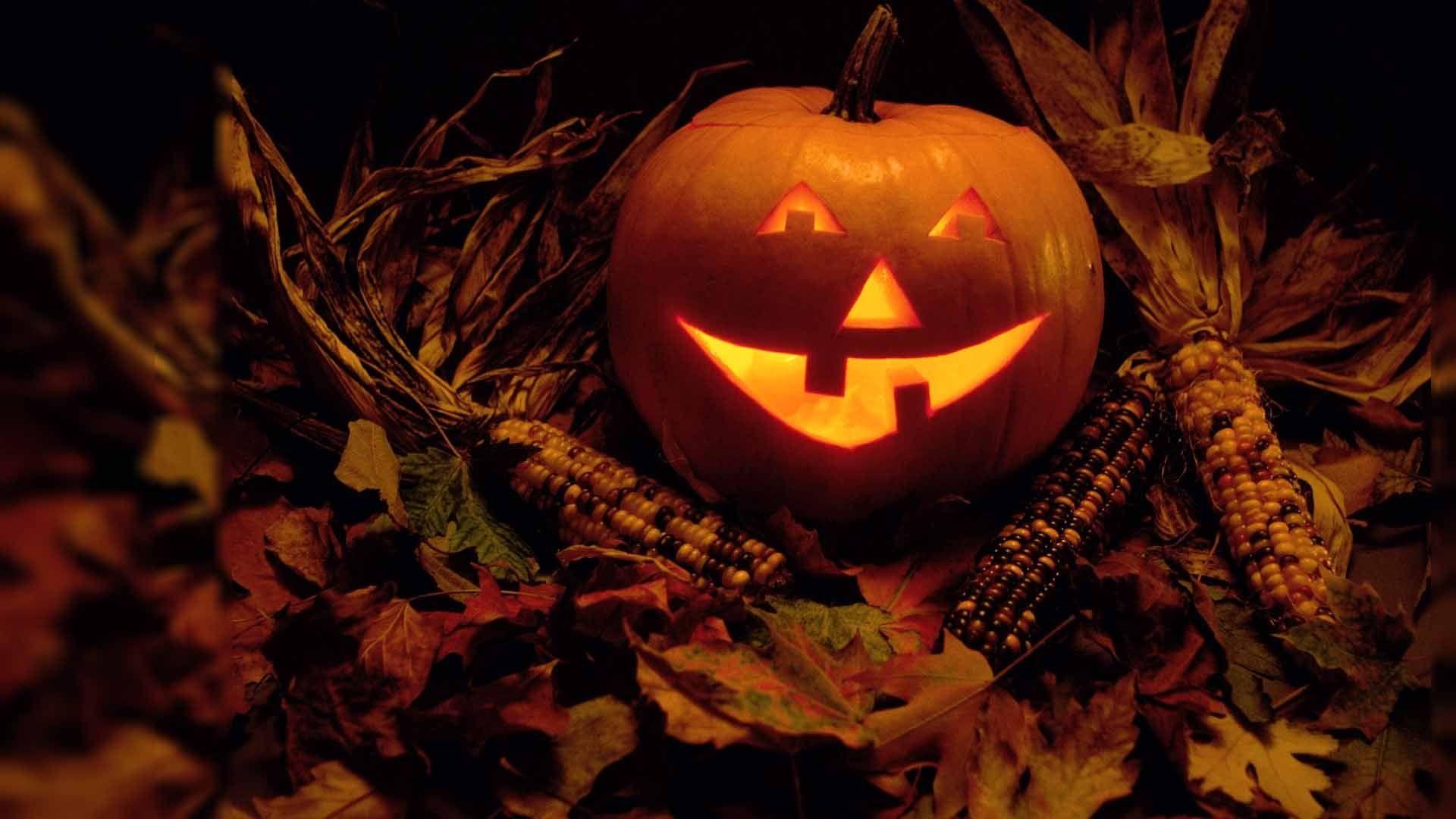 Best Of Animated Halloween Desktop Wallpaper Download. Wallpaper HD