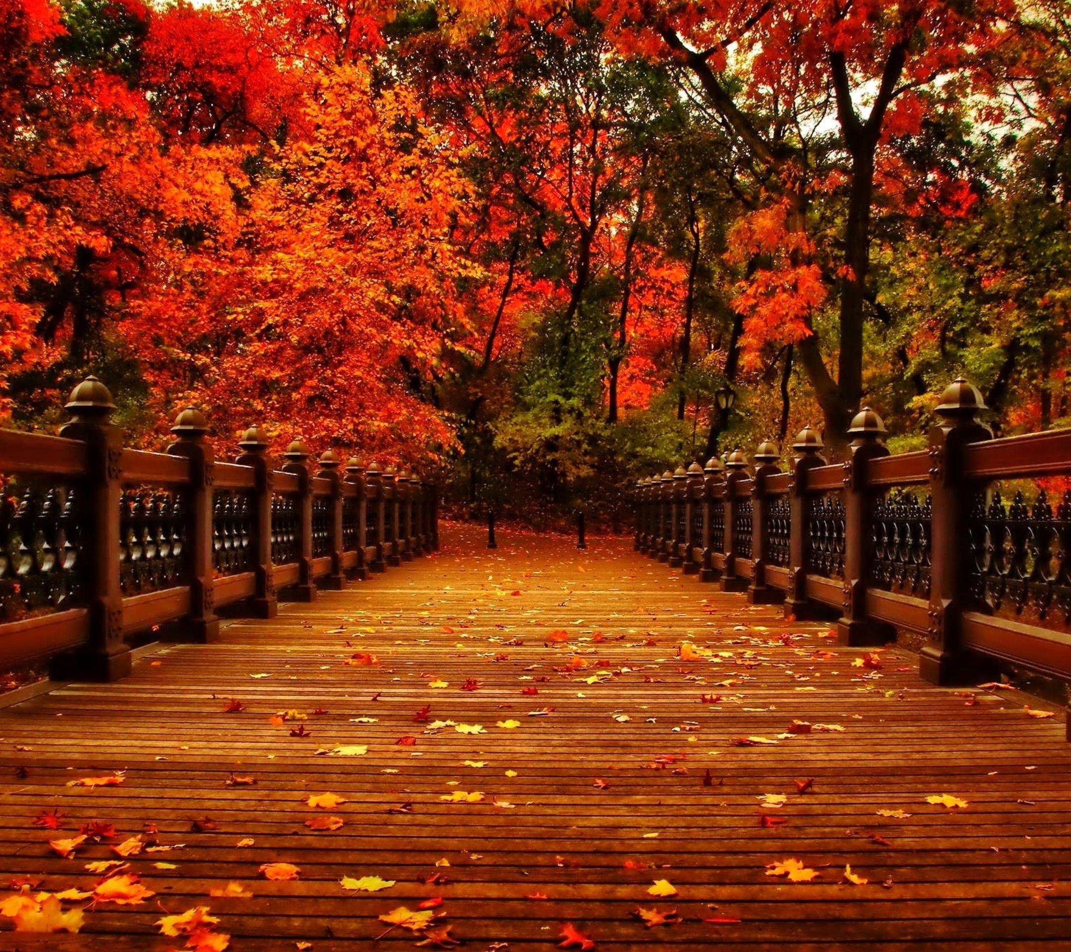 25 Best autumn wallpaper aesthetic laptop You Can Download It At No ...