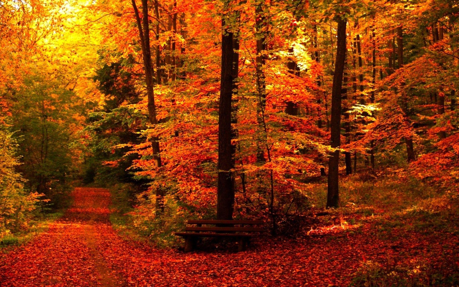 Aesthetic Autumn Wallpapers - Wallpaper Cave