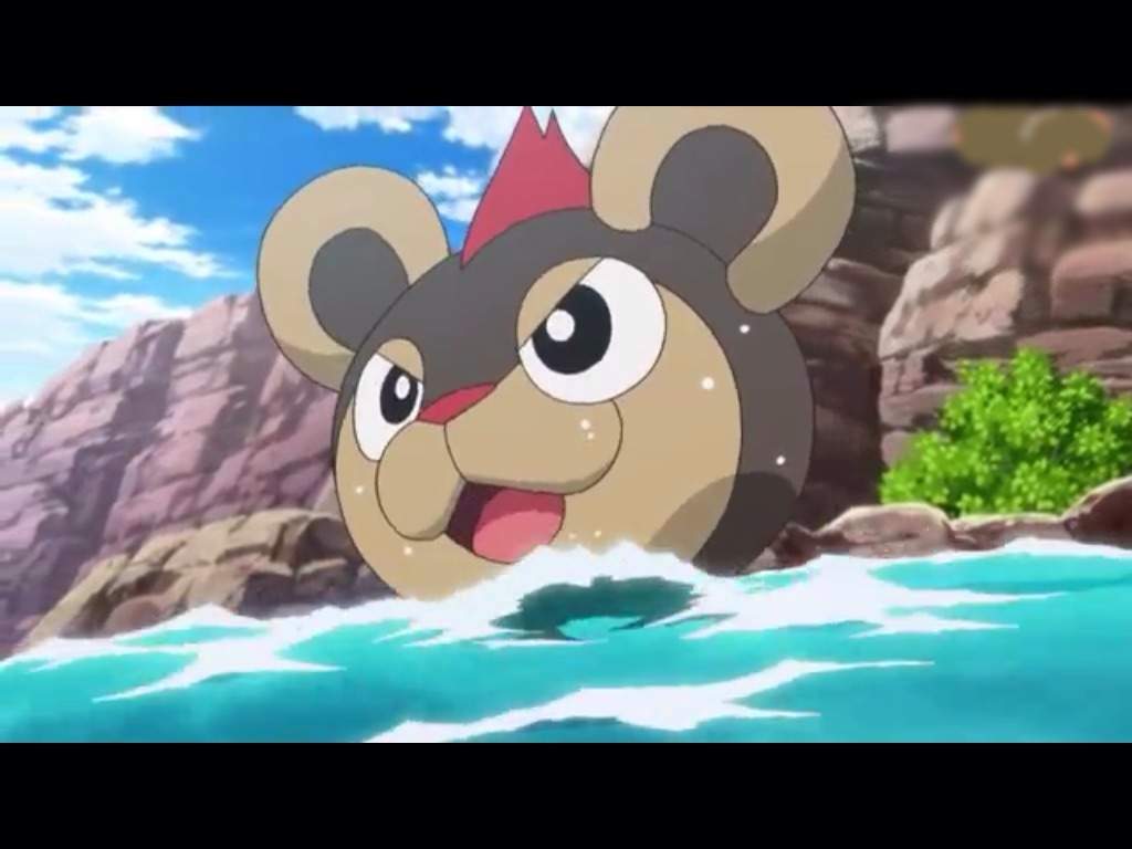 The Litleo King! Part 2. Pokémon Amino