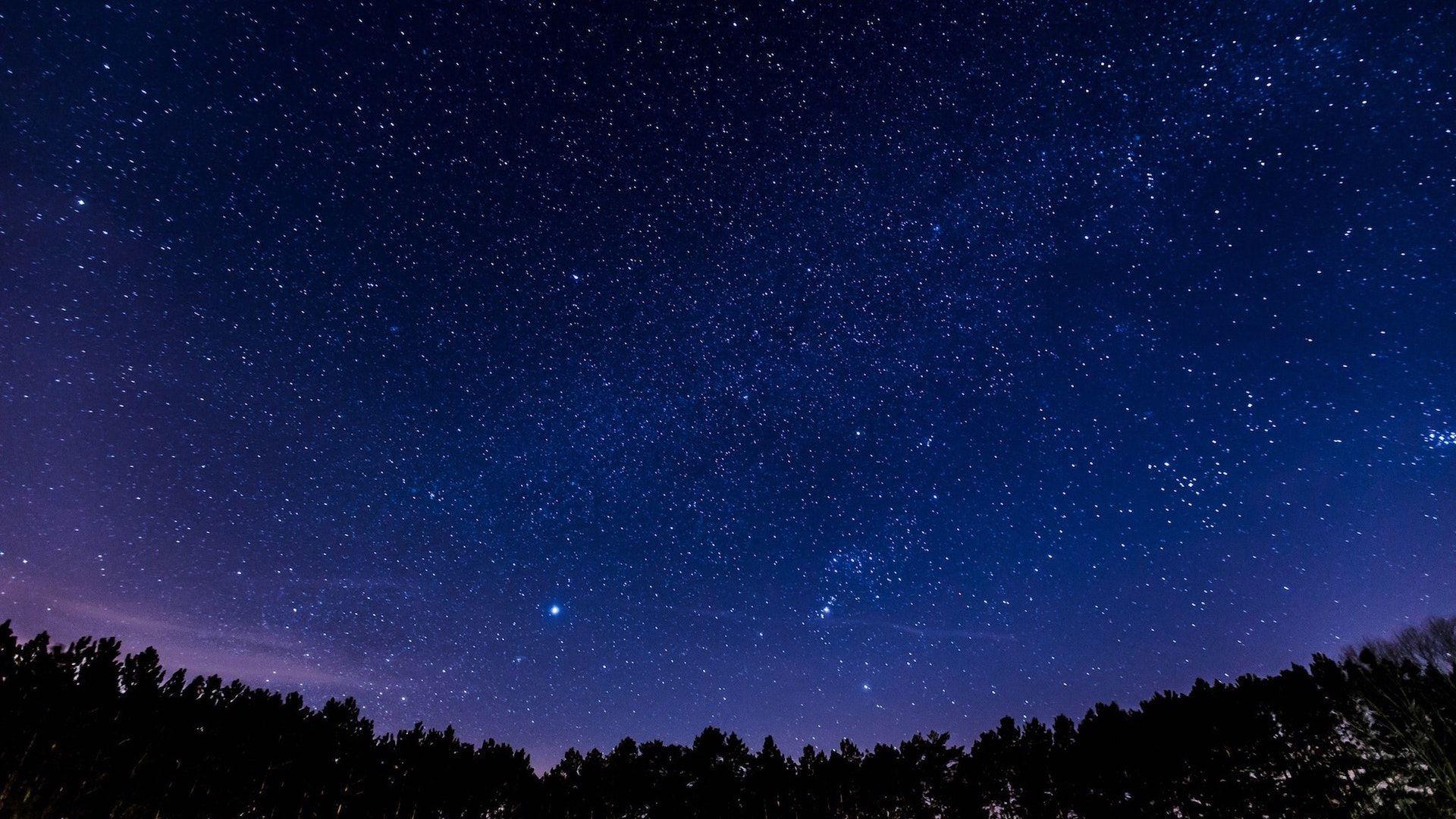 Panoramic Night Sky Stars Forest Wallpaper