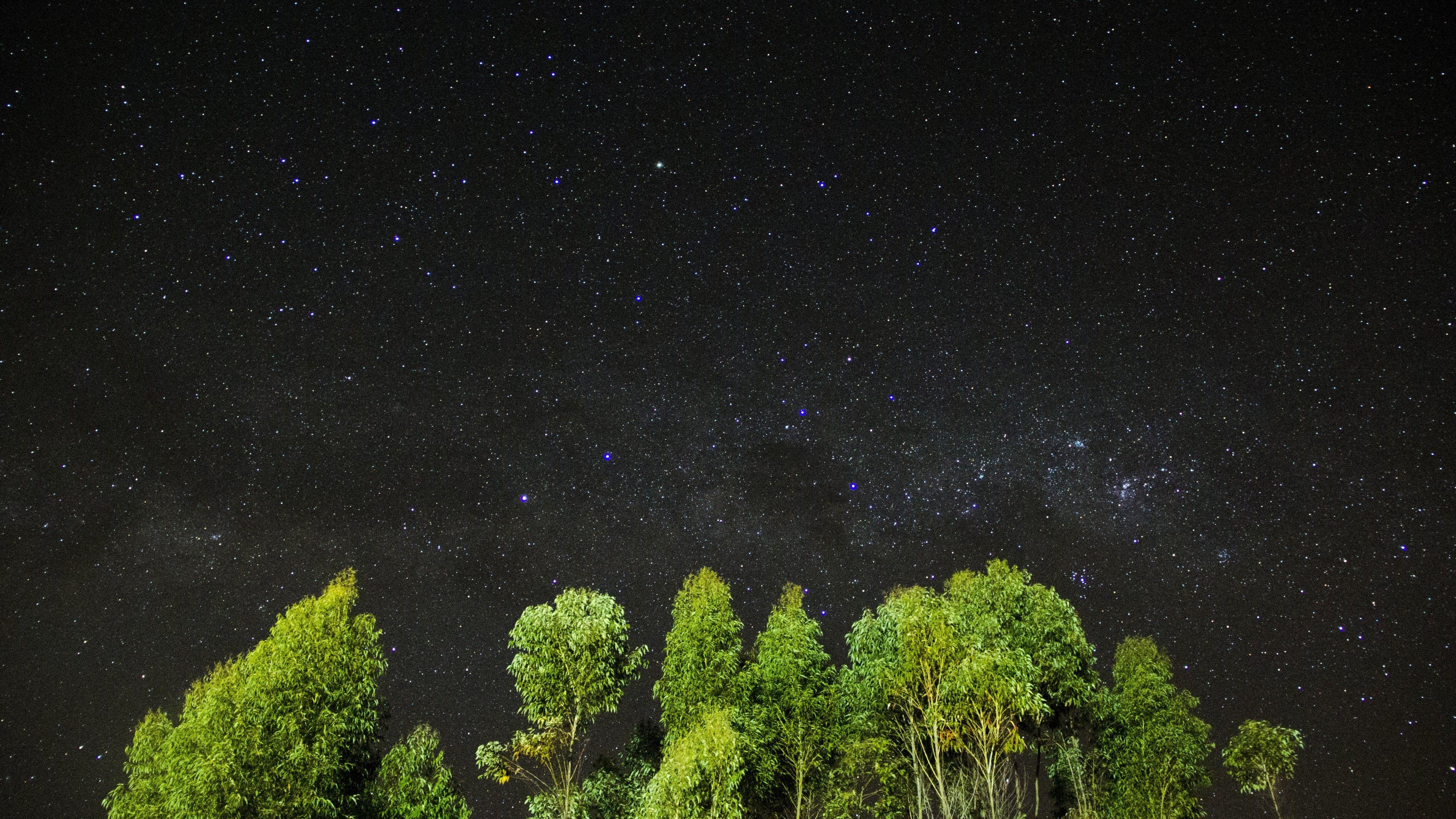 Wallpaper night, stars, sky, trees, 4k, Nature