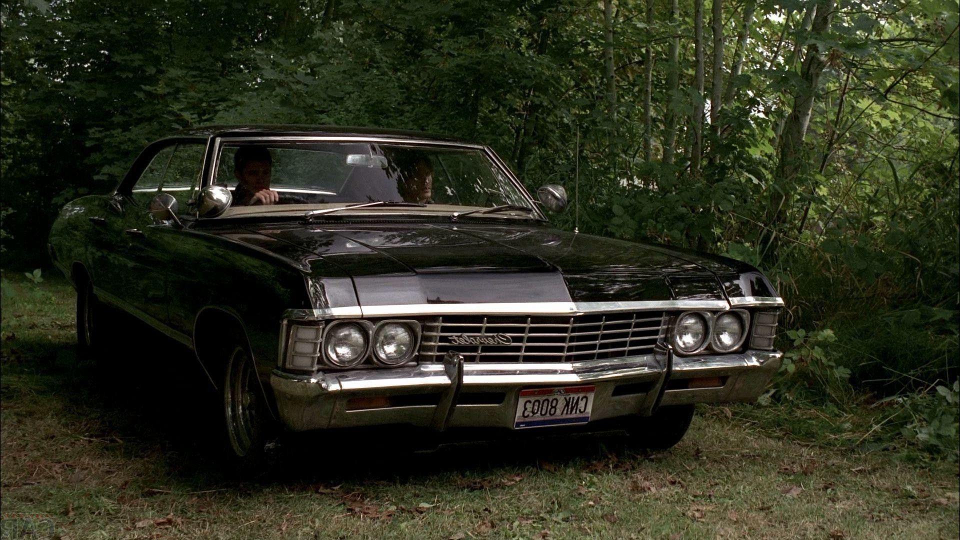 Impala Wallpapers Wallpaper Cave Impala Wallpapers Wallpaper Cave