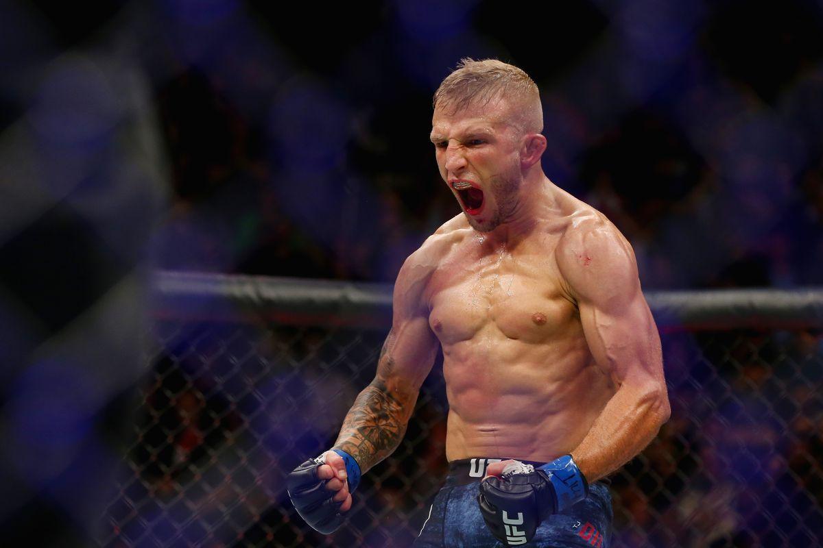 UFC 217's T.J. Dillashaw calls out Demetrious Johnson: 'You can't