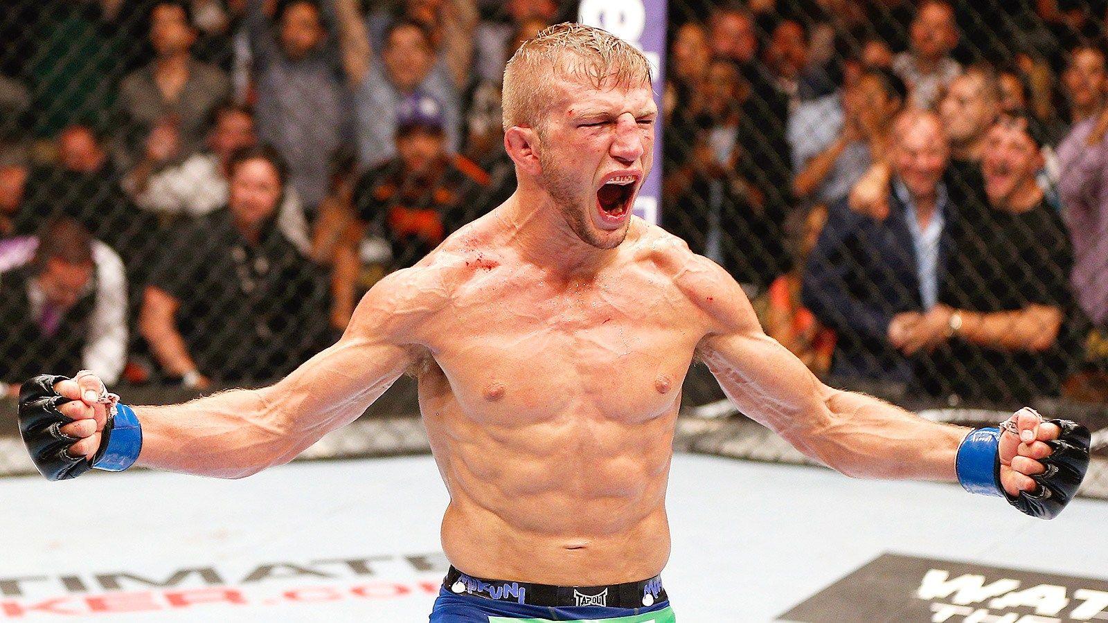 The Most Dangerous Man in MMA: TJ Dillashaw - White Belt Breakdown.