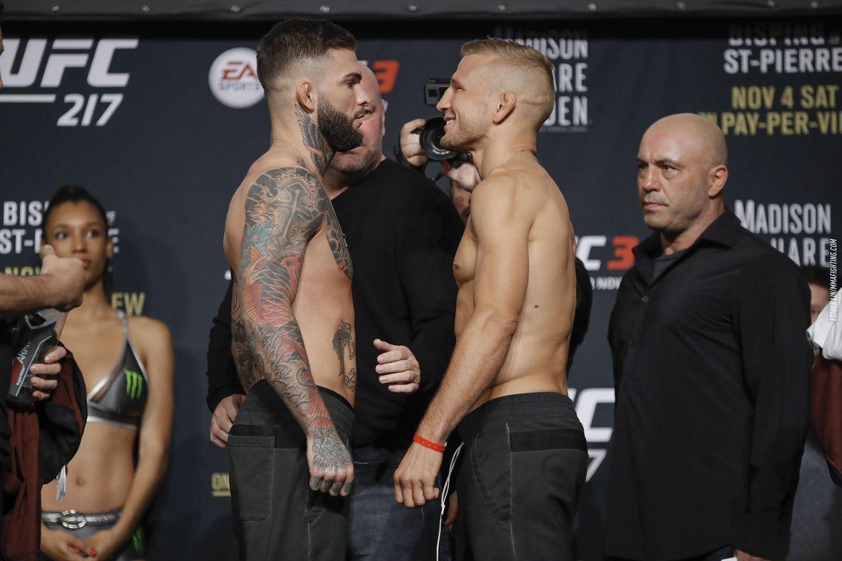 T.J. Dillashaw vs. Cody Garbrandt 2 slated for UFC 227
