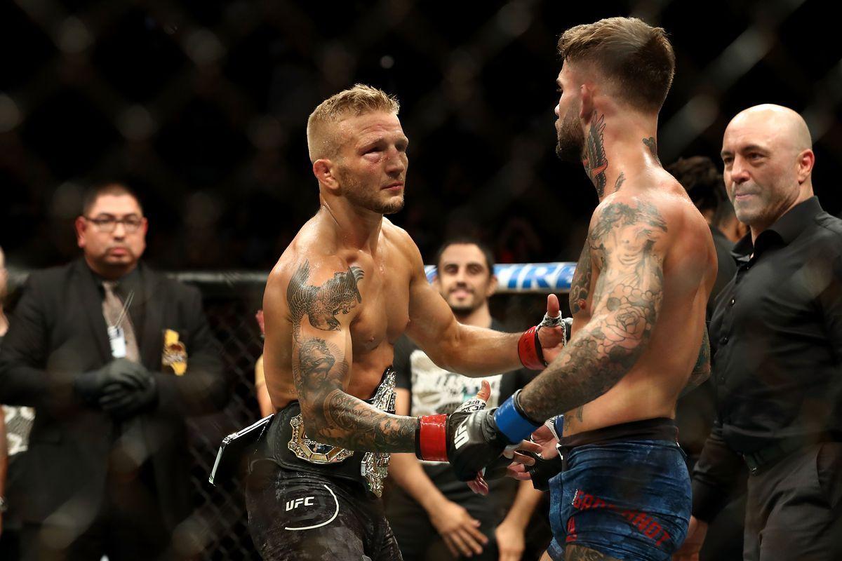 T.J. Dillashaw Wallpapers - Wallpaper Cave