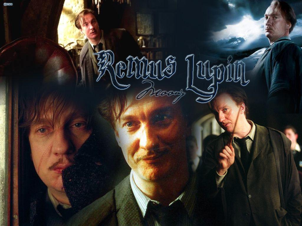 Moony & Padfoot image Remus Lupin HD wallpaper and background