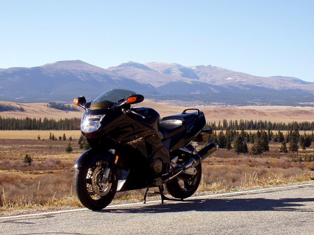 Award Winner Built TAMIYA 1 12 HONDA CBR1100xx Add Details