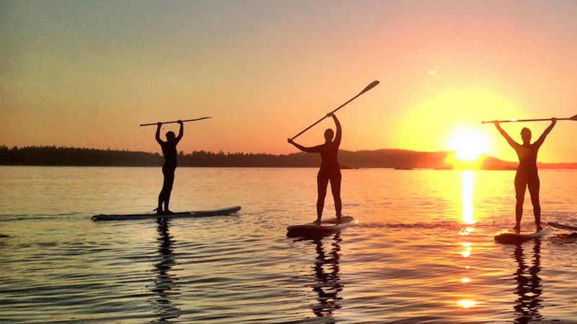 Cropped Tofino Paddle Surf Stand Up Paddle Boarding Group