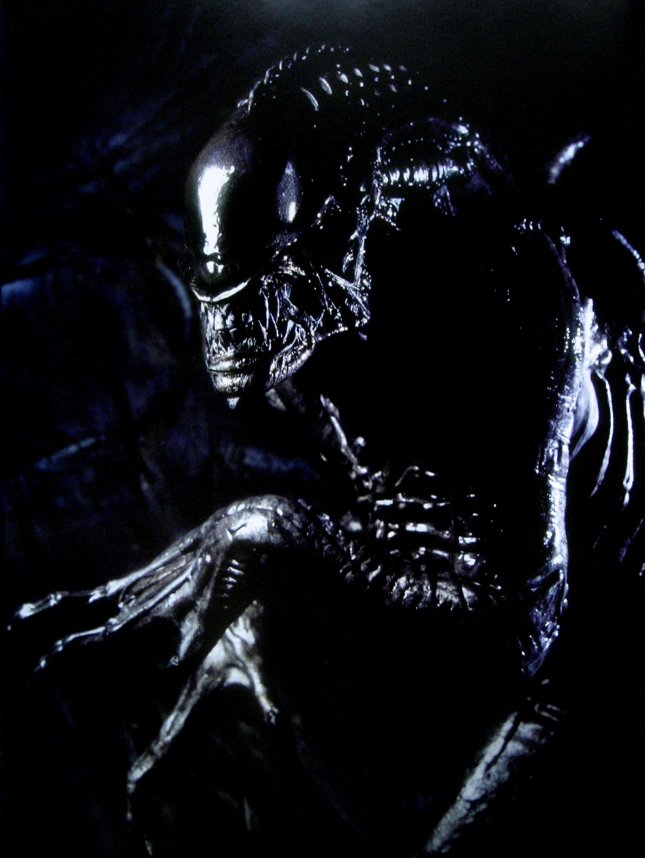 Aliens Vs. Predator: Requiem wallpaper, Movie, HQ Aliens Vs