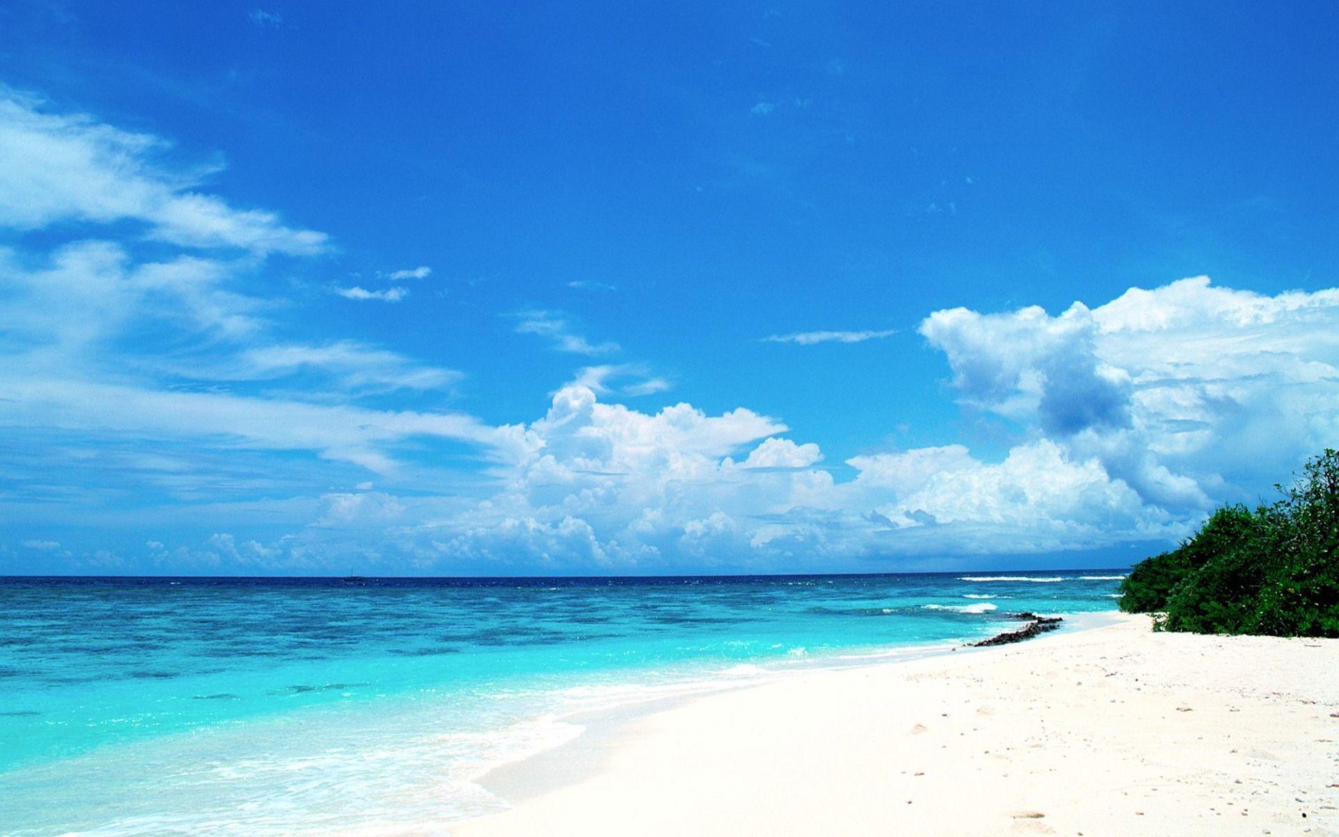 beach houses. Blue honeymoon paradise Maldives Wallpaper. HD