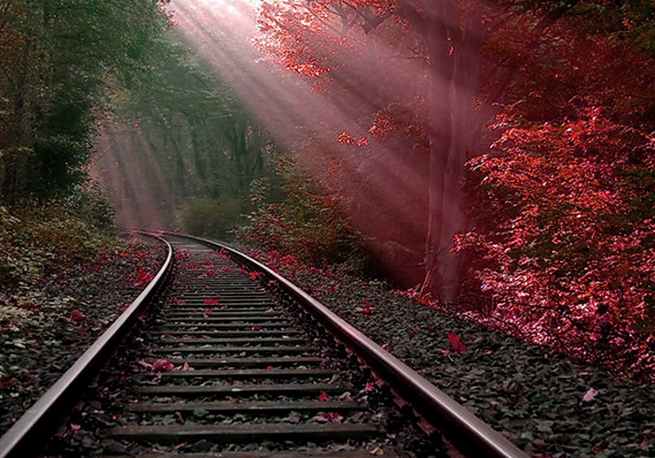 Train Track PNG HD Transparent Train Track HD PNG Image
