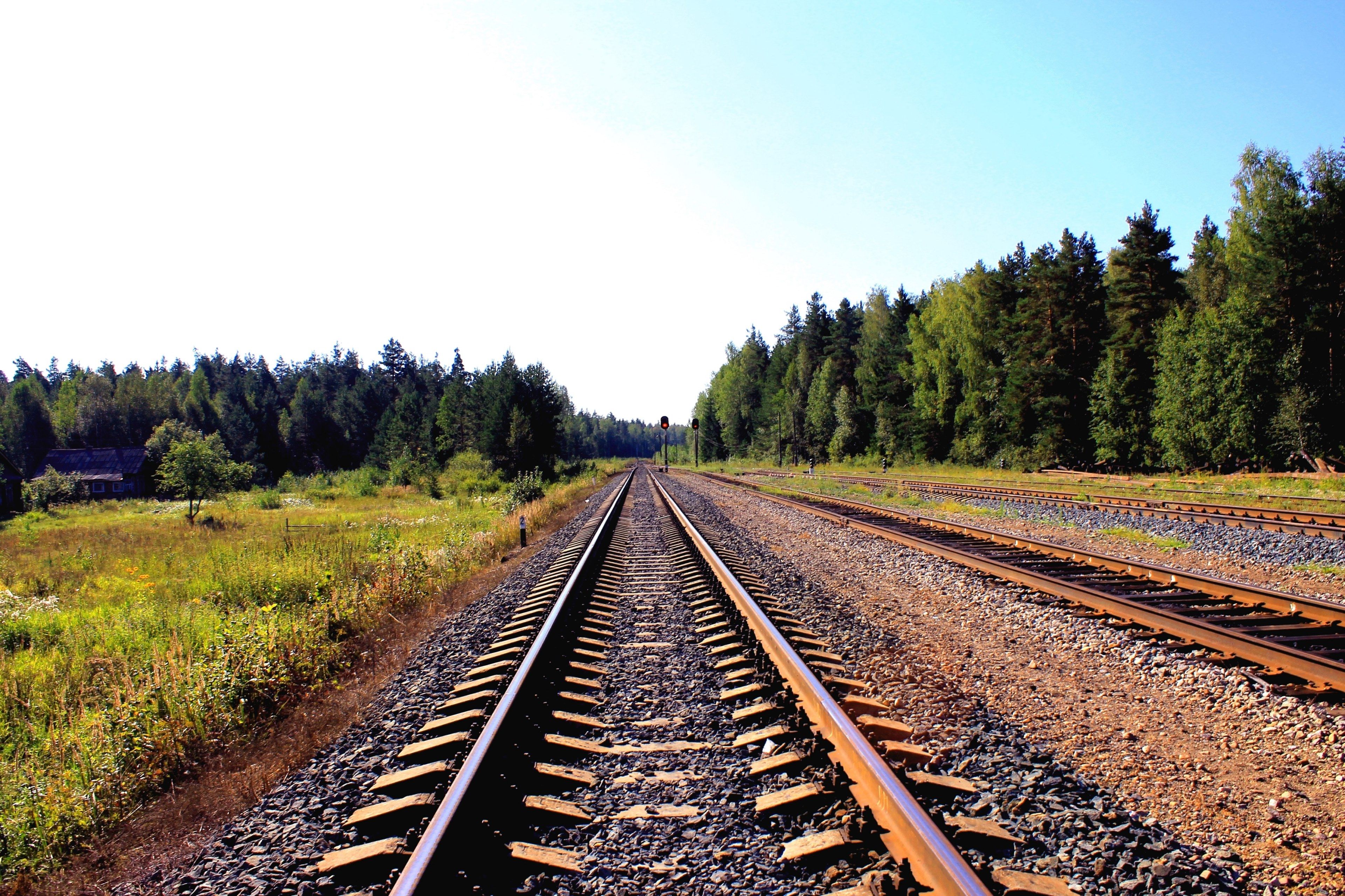 empty train tracks lined with lush green treesempty railroad tracks