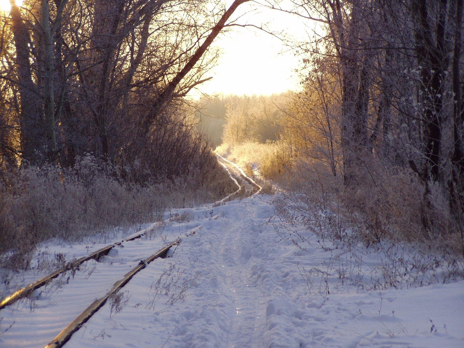 Snow railroad tracks train trains wallpaperx1200