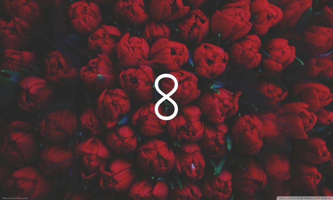 Maroon Wallpaper Group Picture