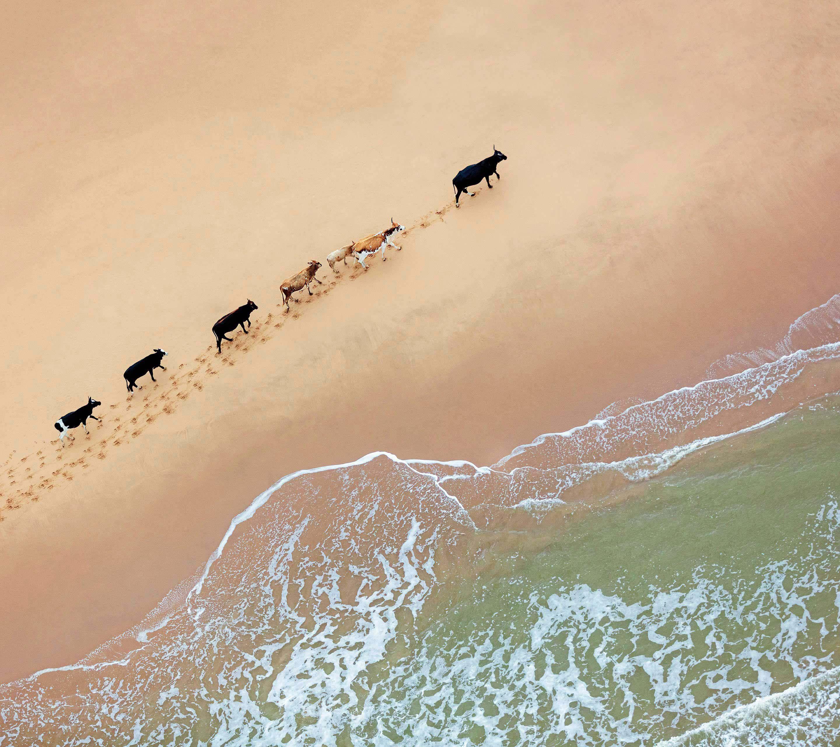 Download the wallpaper from Google's next Nexus phones