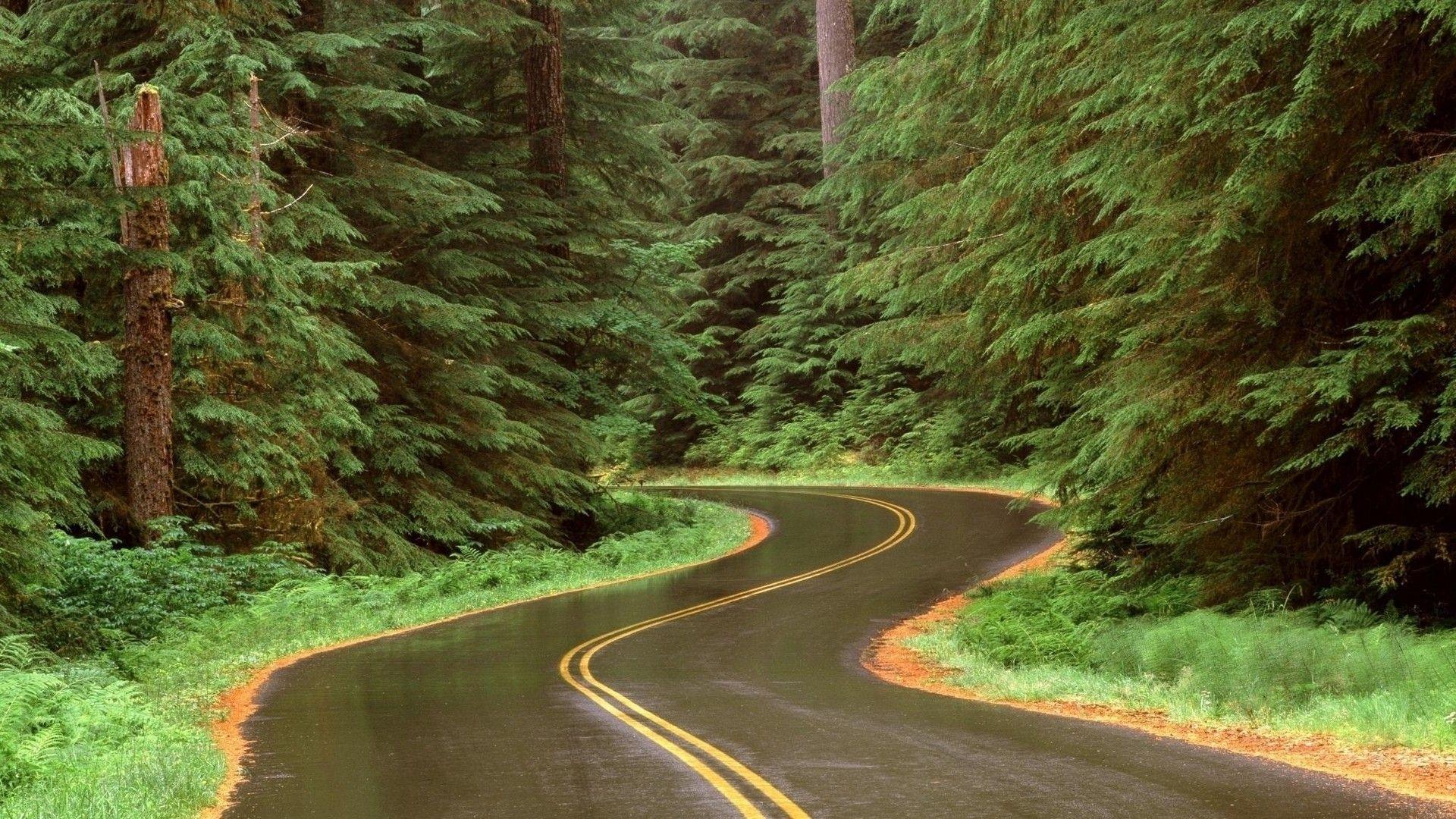 Download Best Beautiful Nature Road Wallpaper HD Wallpaper & Image