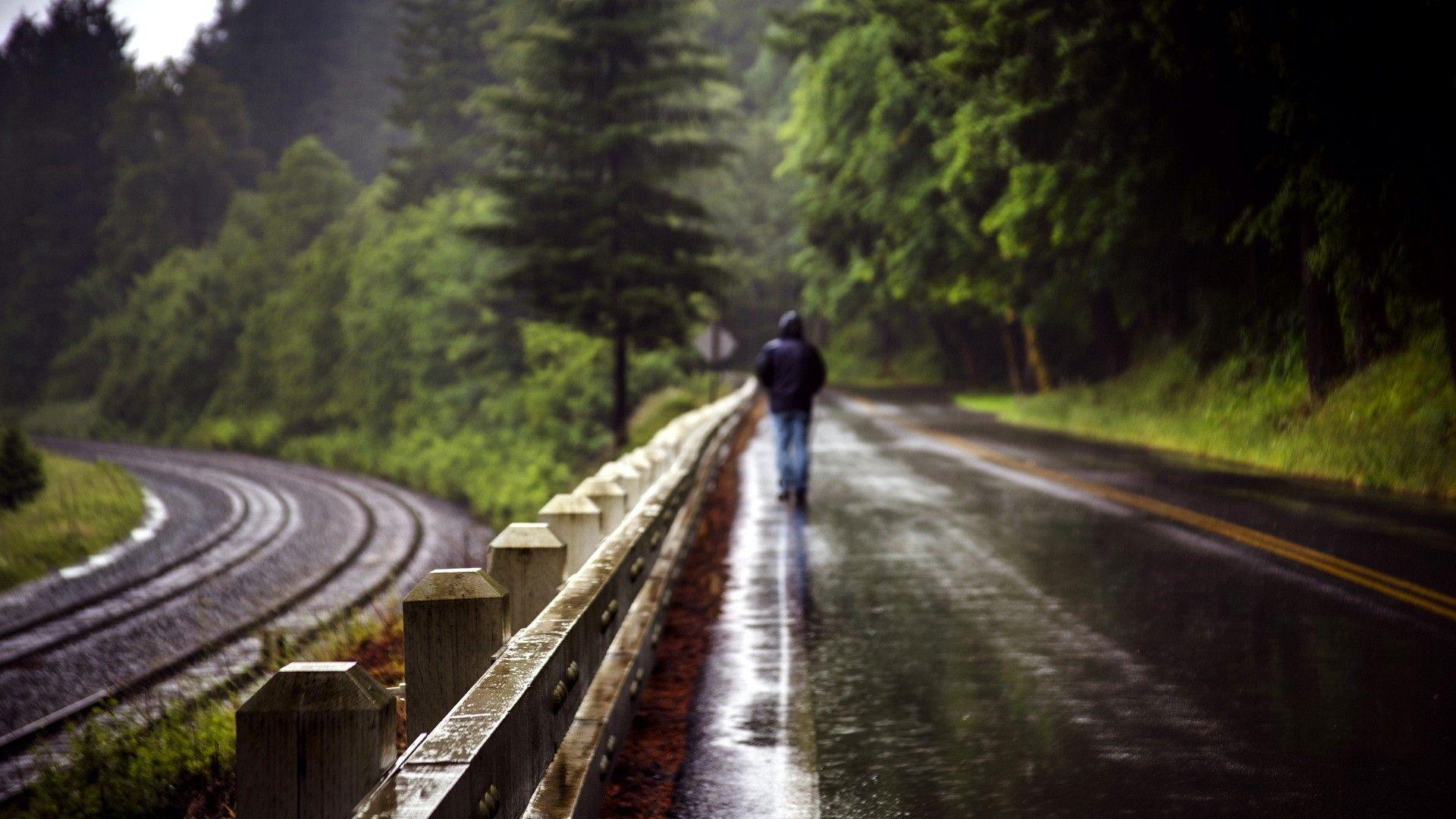 rain, forest, walk, men, roads wallpaper