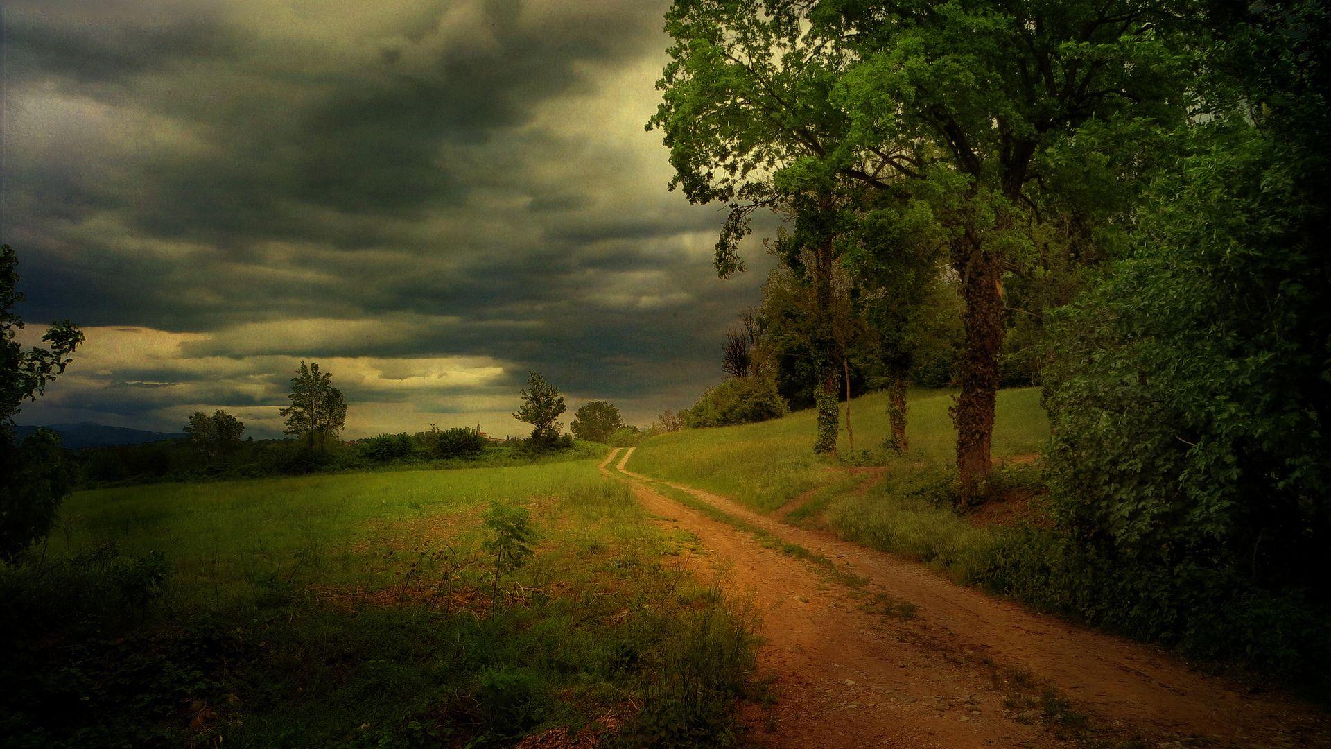 Summer cloudy road in the forest before the rain wallpaper