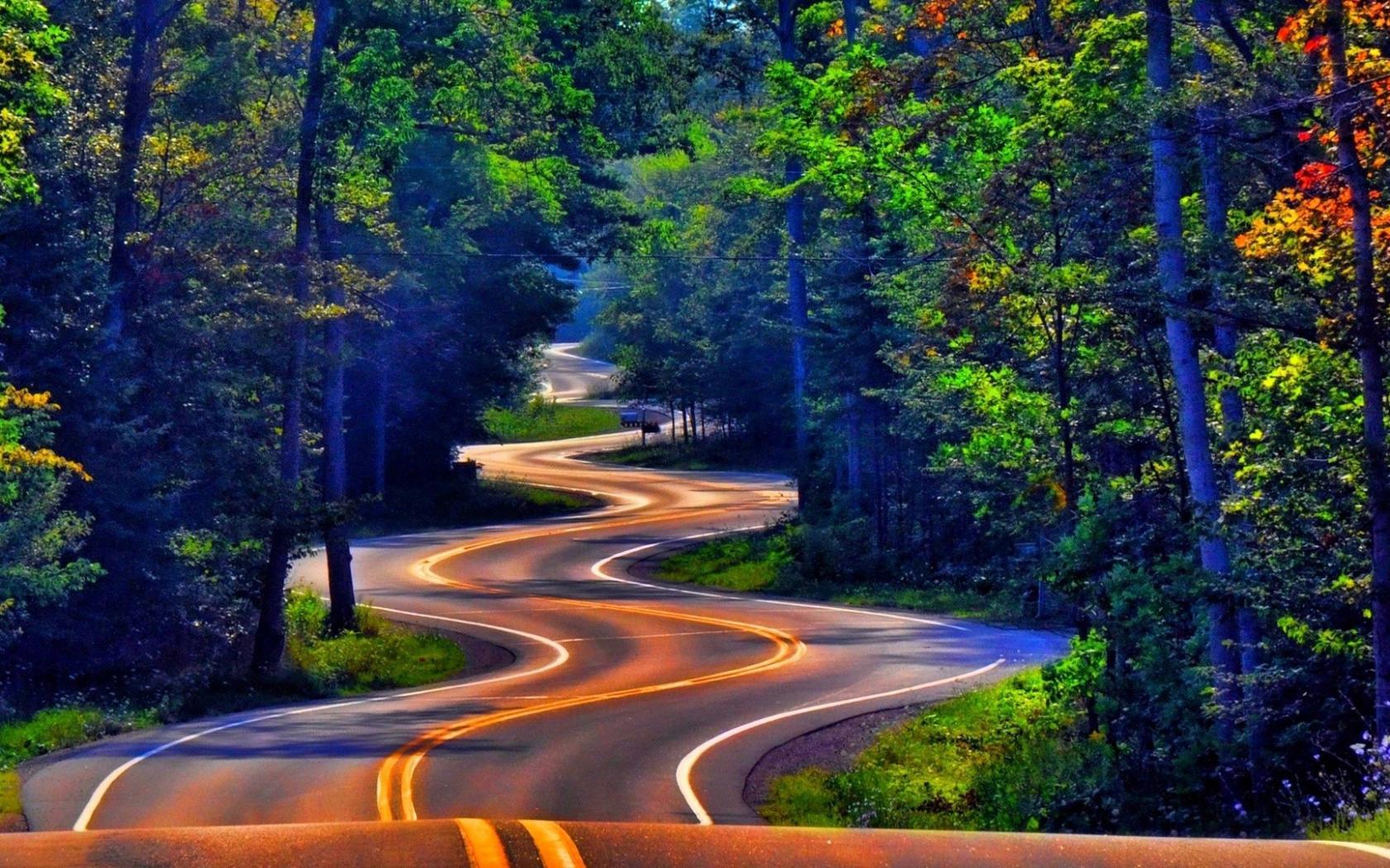 Forest Road Wallpaper For Android Wallpaper