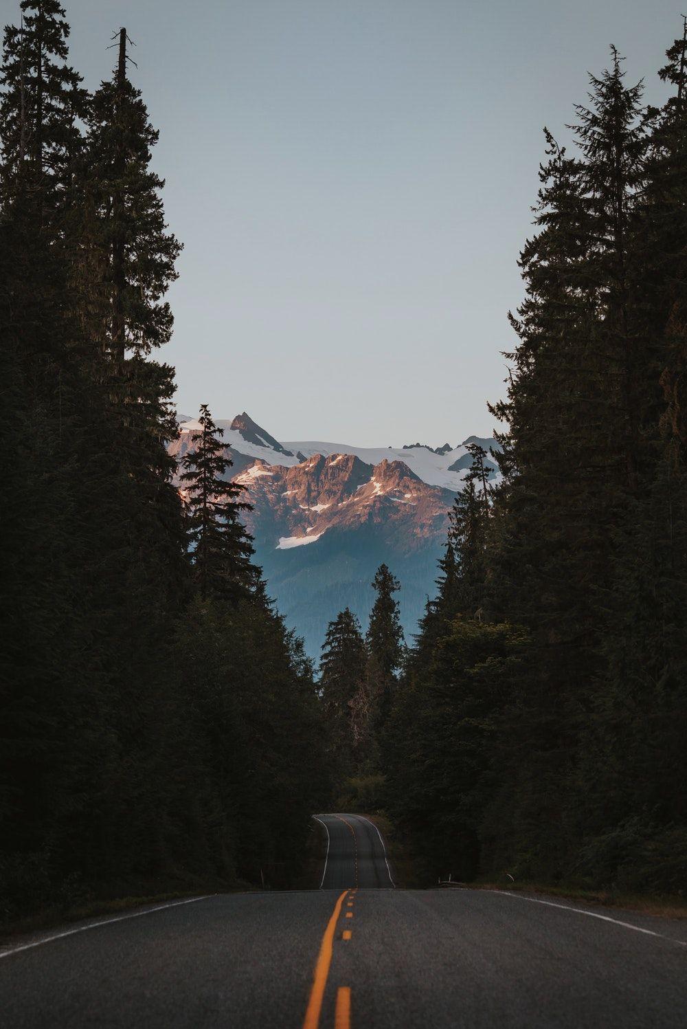 Land: Roads best free road, wallpaper, street, and forest