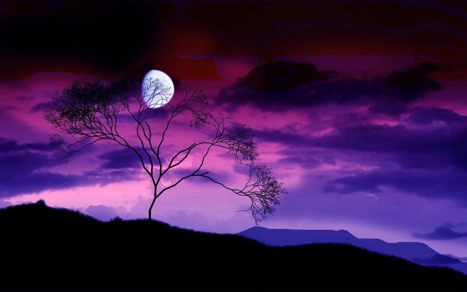 Sky: Amazing Purple Moonlight Nature View Haze Scenic Beautiful