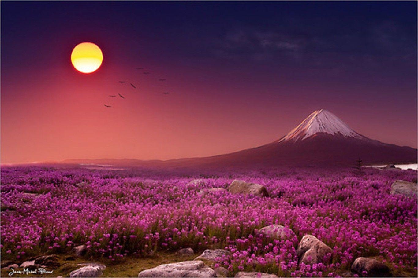 Mountain: Brighten Moments Purple Scenery Sunset Splendor Outdoor