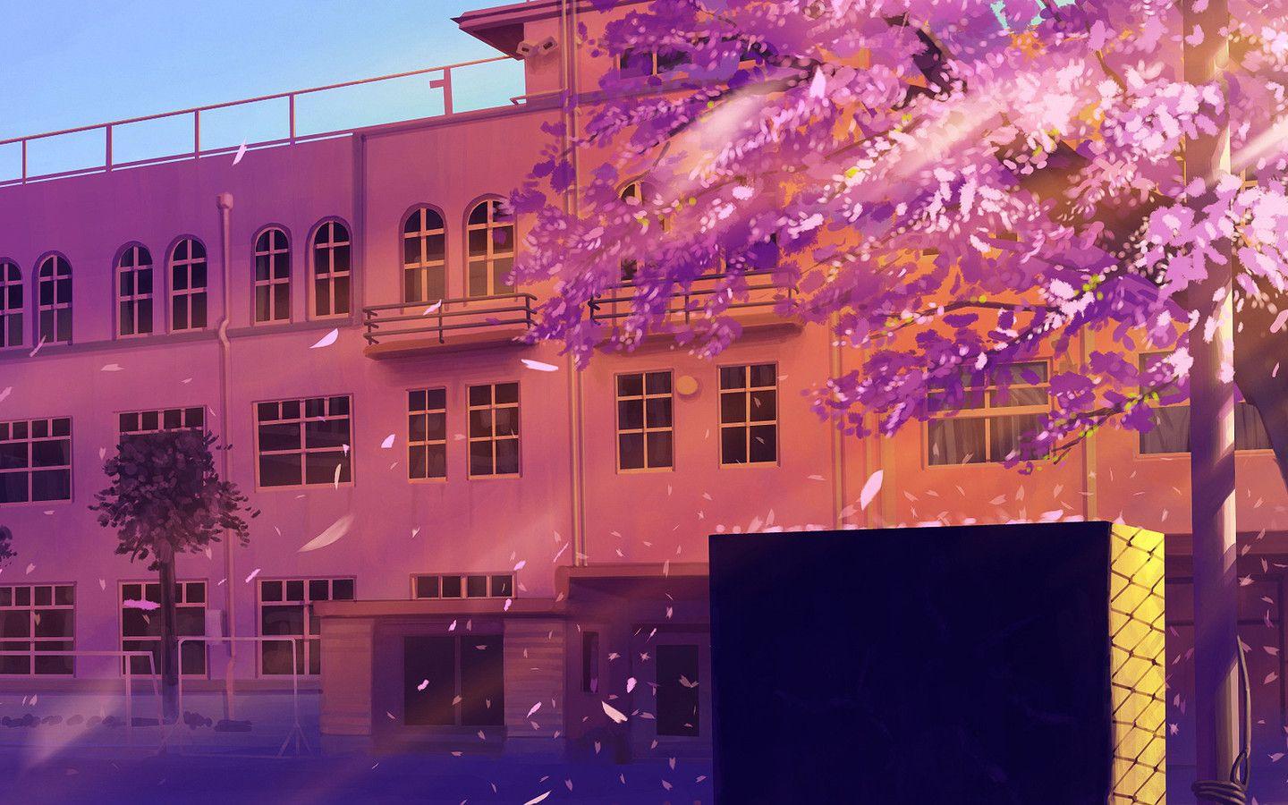Anime School Artwork 1440x900 Resolution HD 4k Wallpaper