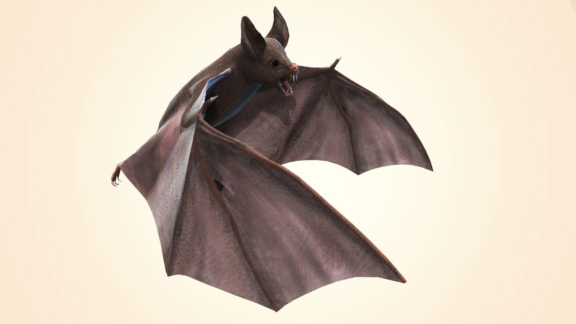 Bat Desktop HD Wallpaper 28963