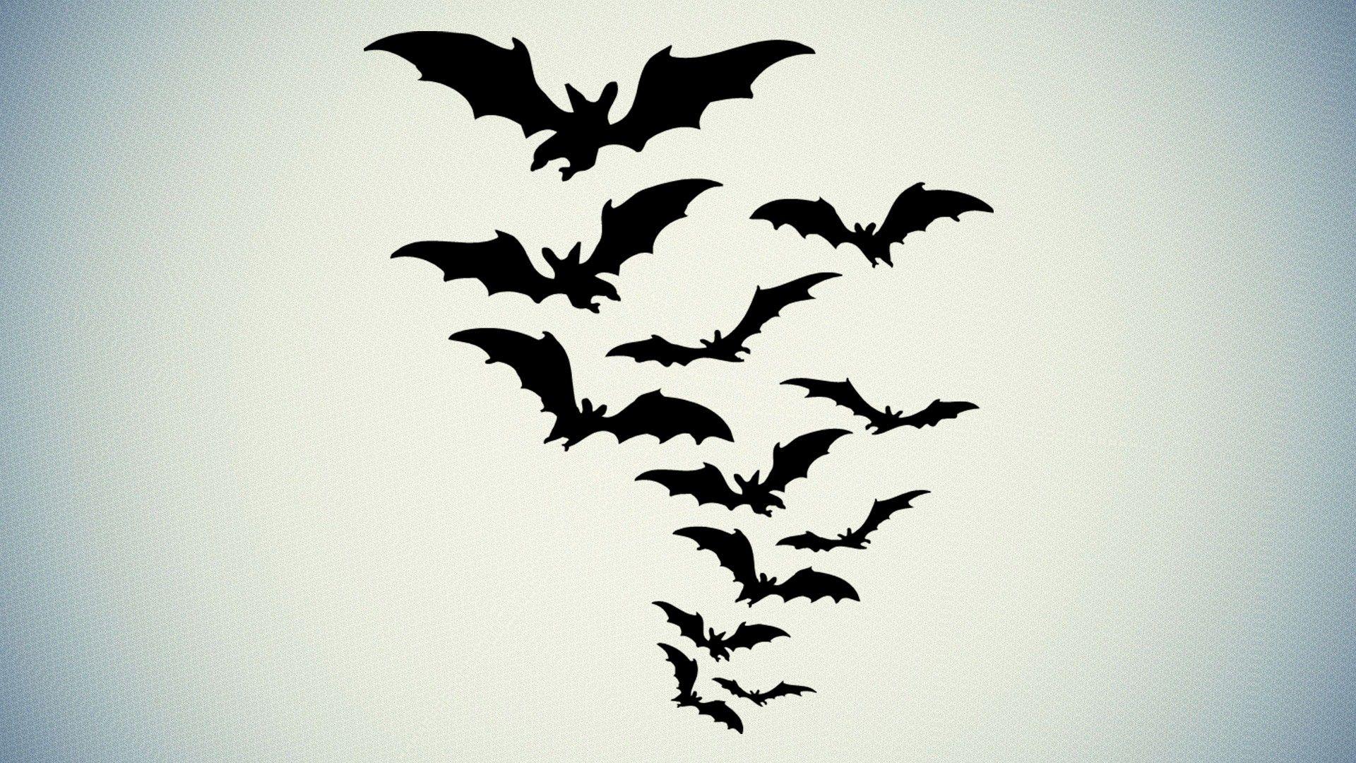 Bat Background HQ Wallpaper 28961