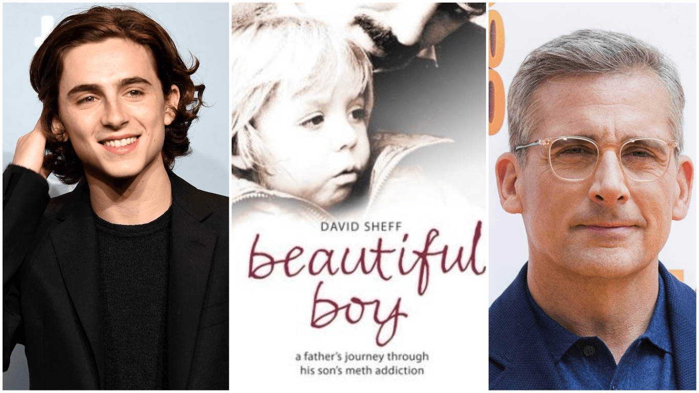 Timothée Chalamet's 'Beautiful Boy' Gets Fall Awards Release Date